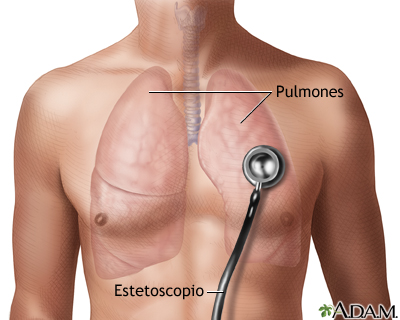 Sonidos de la respiración