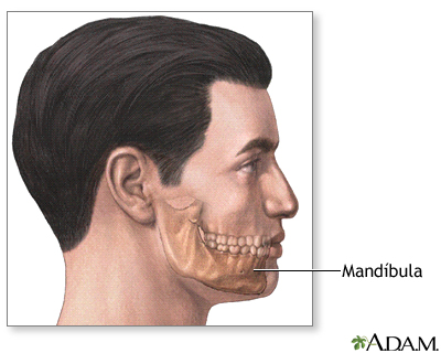 Anatomía normal