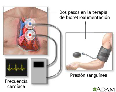 Retroalimentación