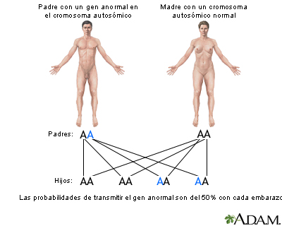 Genes autosómicos dominantes