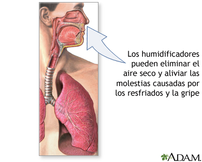 Humidificadores y salud