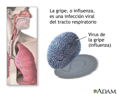 Influenza