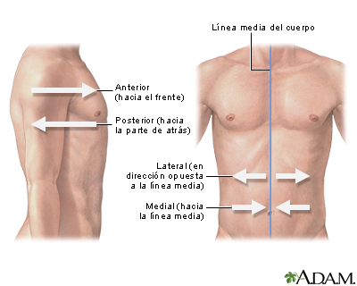 Orientación lateral