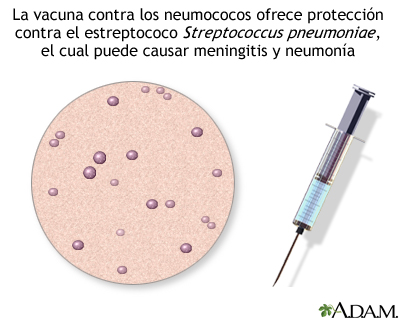 Vacuna antineumocócica