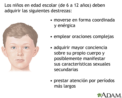 Evolución del niño en edad escolar