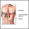 Achalasia - series