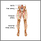 Arterial bypass leg - series