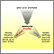 Urea cycle