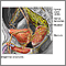 Nerve supply to the pelvis