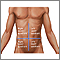 Cuadrantes abdominales