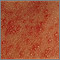 Erythema toxicum neonatorum - close-up