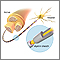 Myelin and nerve structure