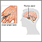 Growth hormone stimulation test