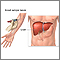 Liver function tests