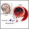 Serotonin uptake